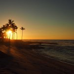 11333476_688750774602167_219618196_a