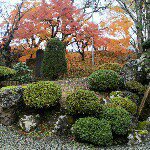 11313467_1115314058484397_855137690_a