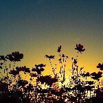 10818020_730253990440251_249817395_a