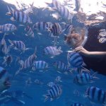 11875376_502067843290429_1488733941_a