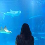 11375803_756430667813477_1662503506_a