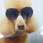 11939684_525623017588977_305759875_a