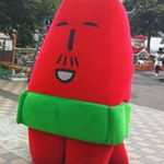 12120375_176593546013779_1485575947_a