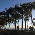 11356587_384143208442905_2032557621_a