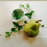 12104961_1064299990271211_466883771_a