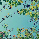 10950474_1473729142949341_1614969303_a