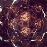 12120285_473944906121762_1857595939_a