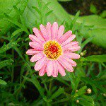 11205841_1044430278903536_1519431068_a