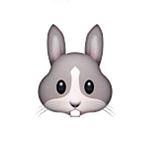 11849076_548601955288824_1926333255_a