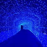 10914697_1523687024550381_110935457_a