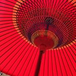 12142580_1732134263681525_842651550_a