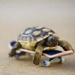 11849152_822102327904479_268531549_a