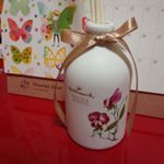 11849877_354518884672164_1420229448_a