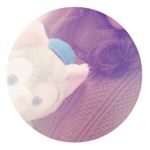 12139807_1652672595018290_536788503_a