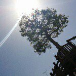 11377754_644368182364351_766409902_a