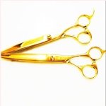 928348_741519809220766_397155638_a