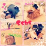 923685_1027358133958281_1108410592_a