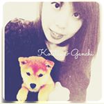 11372080_1655607484726577_591914151_a