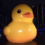 11363669_933755216663019_2046553570_a