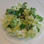 11375895_428367910681863_1067436245_a