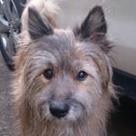 10488732_947683425297272_563840258_a