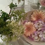 11358093_1195317600483939_182091000_a