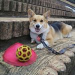 11248742_1748883555345002_584170331_a