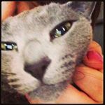 10005719_532809606875724_536713373_a