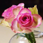 11272964_1590614914540625_1759016408_a