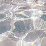 12132813_154612591553131_1262776483_a