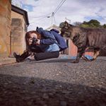 12107460_1069810649696374_261977175_a