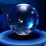 12081284_1622911771296417_1195606151_a