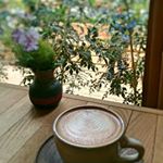 11419095_1614272248834909_1371008154_a