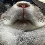 11007903_775266992551061_196588982_a