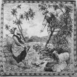 11232475_704877089622909_455282823_a