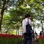 12132902_155431078142628_1191393343_a