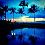 11372119_1593787600872757_67719815_a