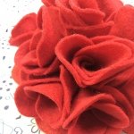 10536894_685917134886494_2143068603_a