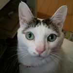 11821905_472279339607203_851780244_a