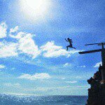 10848244_482476185226955_1124587275_a