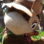 11357722_1586845068242812_1591586221_a