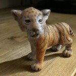 10731935_749381505170952_1677895491_a