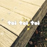 11881638_119773345040452_1202810485_a