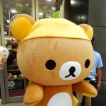 11385206_483611048473224_33041401_a