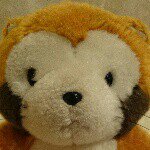 11288108_849543638434482_1495727316_a