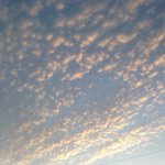 1941099_919942008048444_1707043991_a