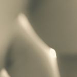 11386488_950421604999200_47033500_a