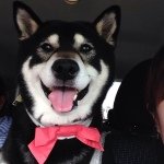 10454034_544898858955758_387177927_a