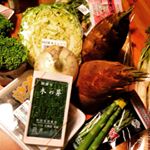 12141941_1478589589113088_930179592_a