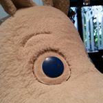 11377924_1719078451656985_1969398544_a